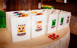 minecraft-20 (1)